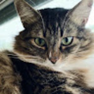 Meet your Posher, Sami